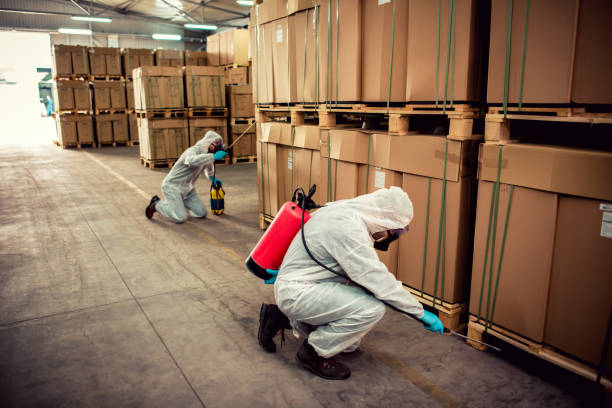 Best Mosquito Control Services  in Nellis Af, NV