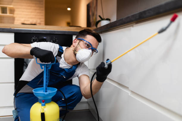 Best Pest Removal Services  in Nellis Af, NV
