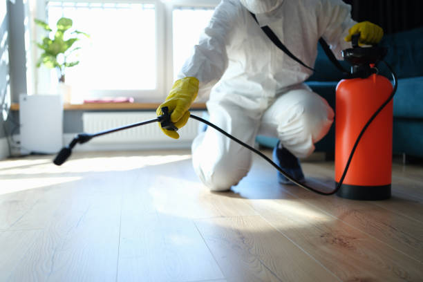 Pest Prevention Services in Nellis Af, NV