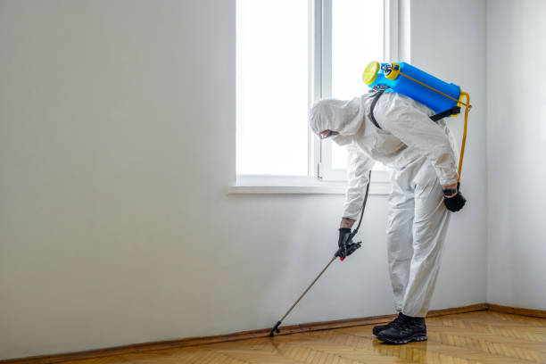 Best Emergency Pest Control  in Nellis Af, NV