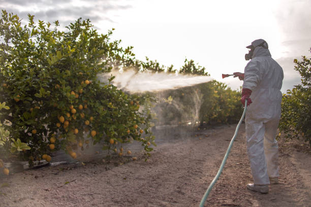 Best Pest Prevention Services  in Nellis Af, NV