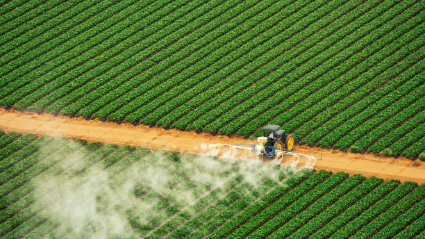 Best Commercial Pest Control Services  in Nellis Af, NV